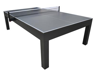 Outdoor Ping Pong