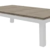 DINING TOP